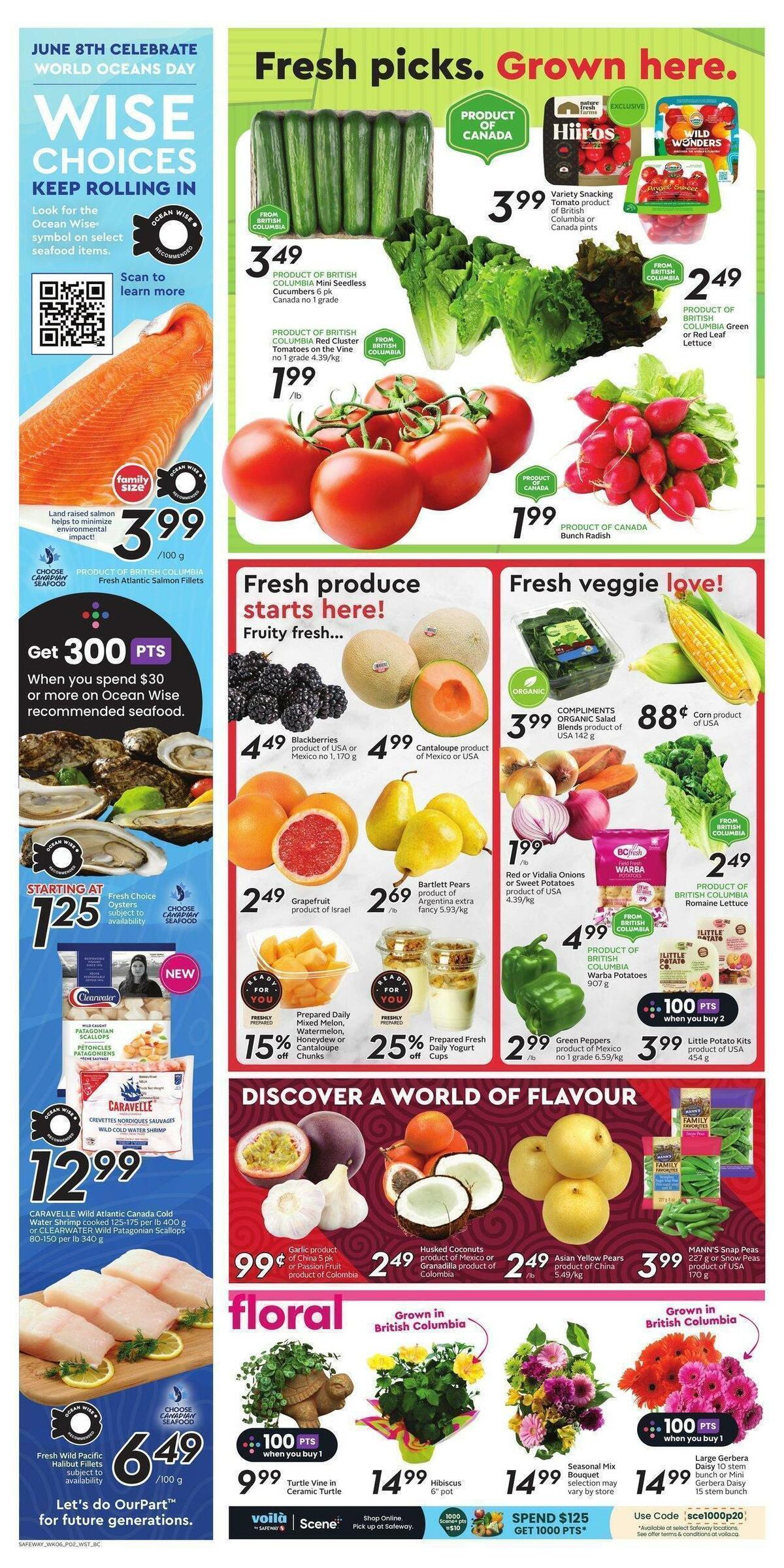 Safeway Flyer from June 8