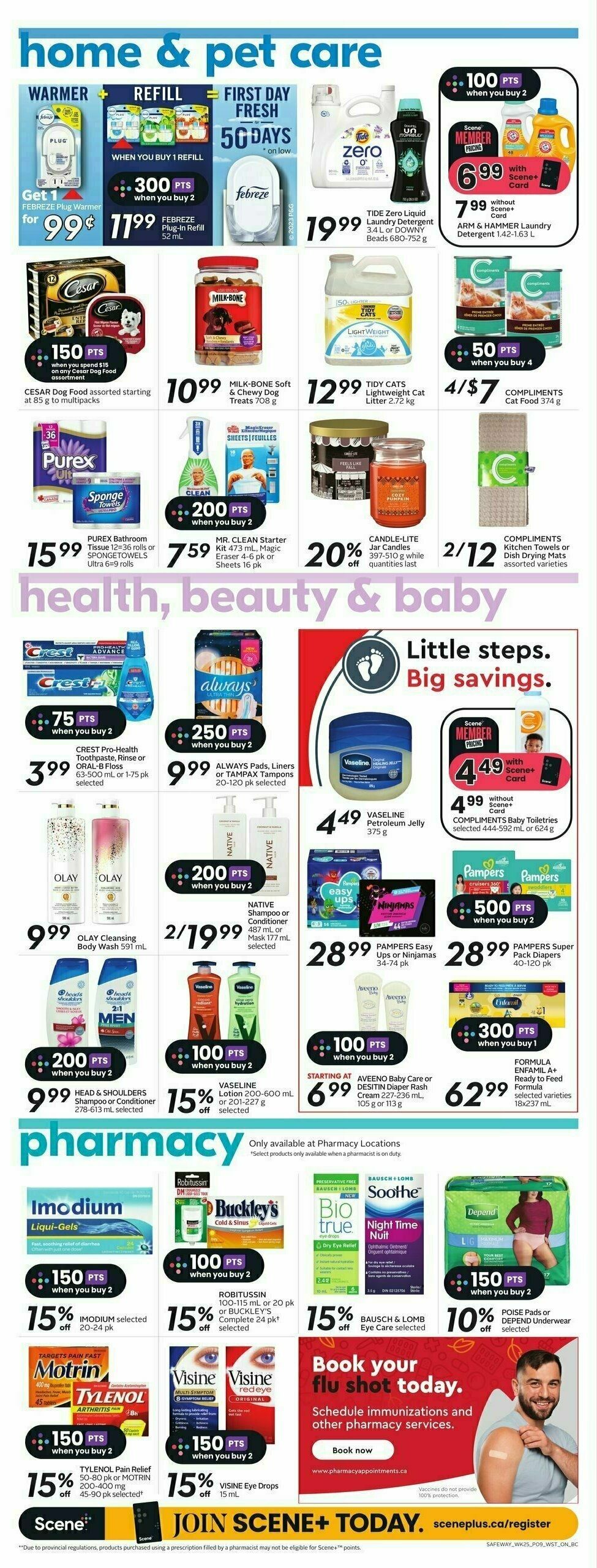 Safeway Flyer from October 19