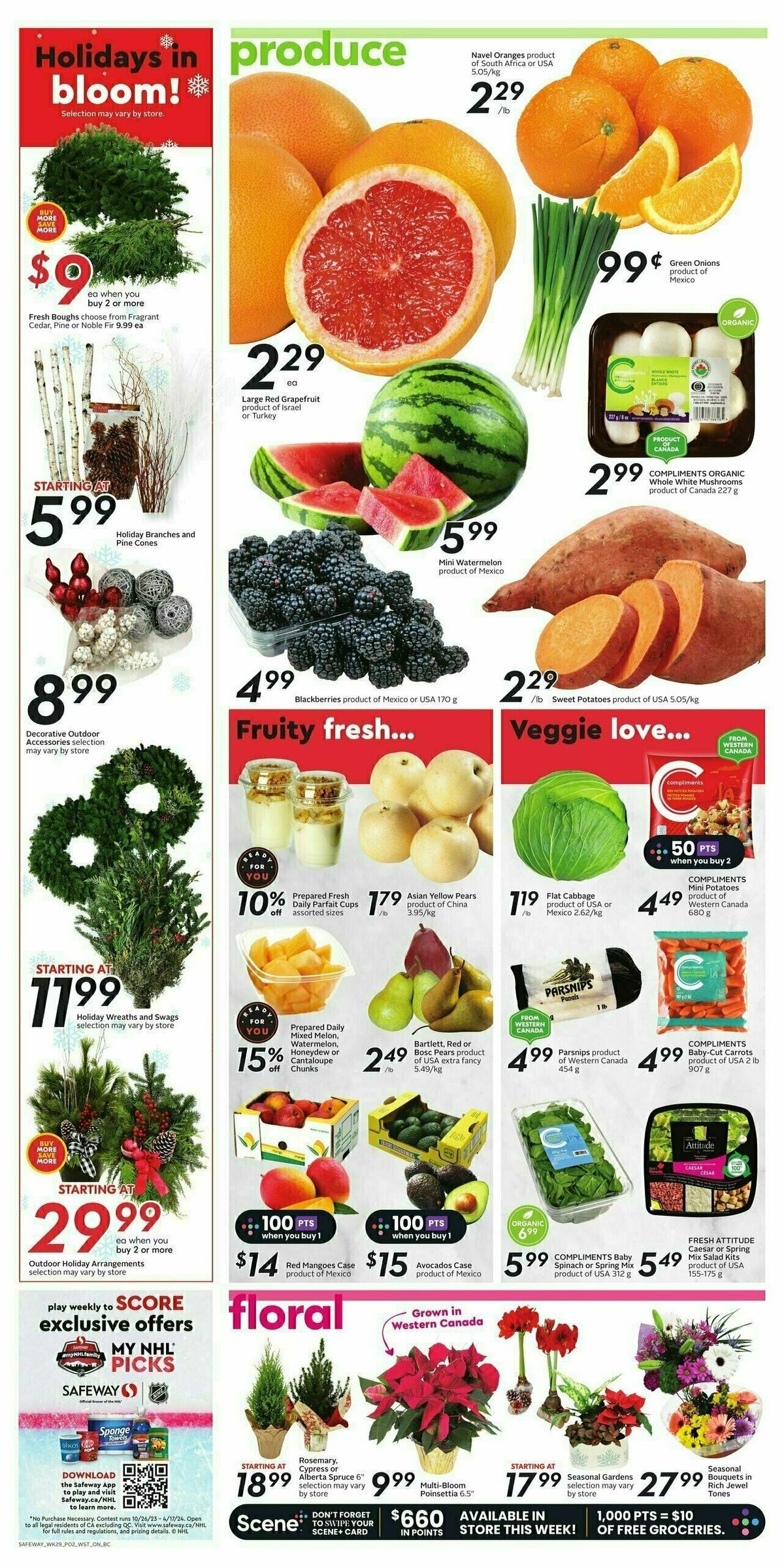 Safeway Flyer from November 16