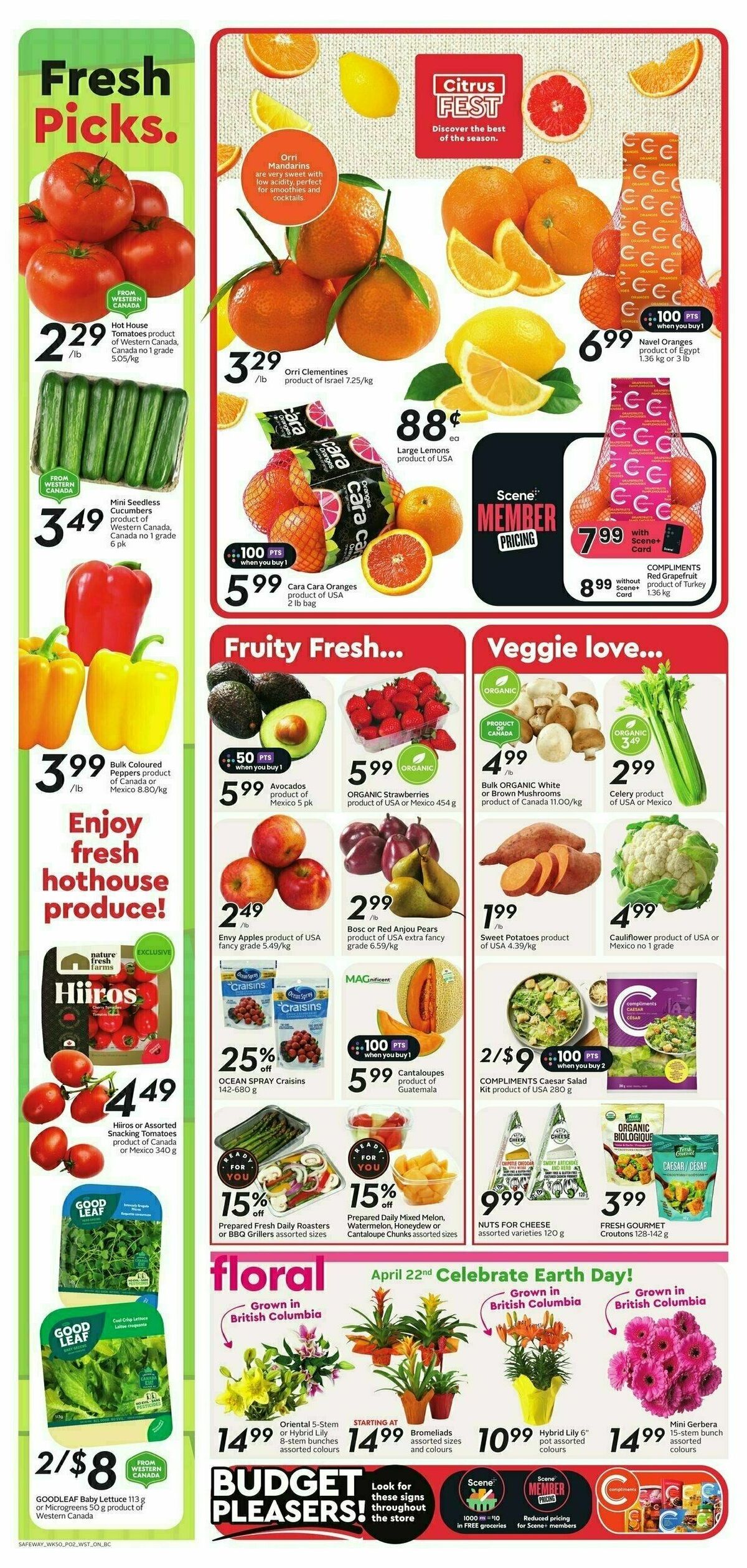 Safeway Flyer from April 11