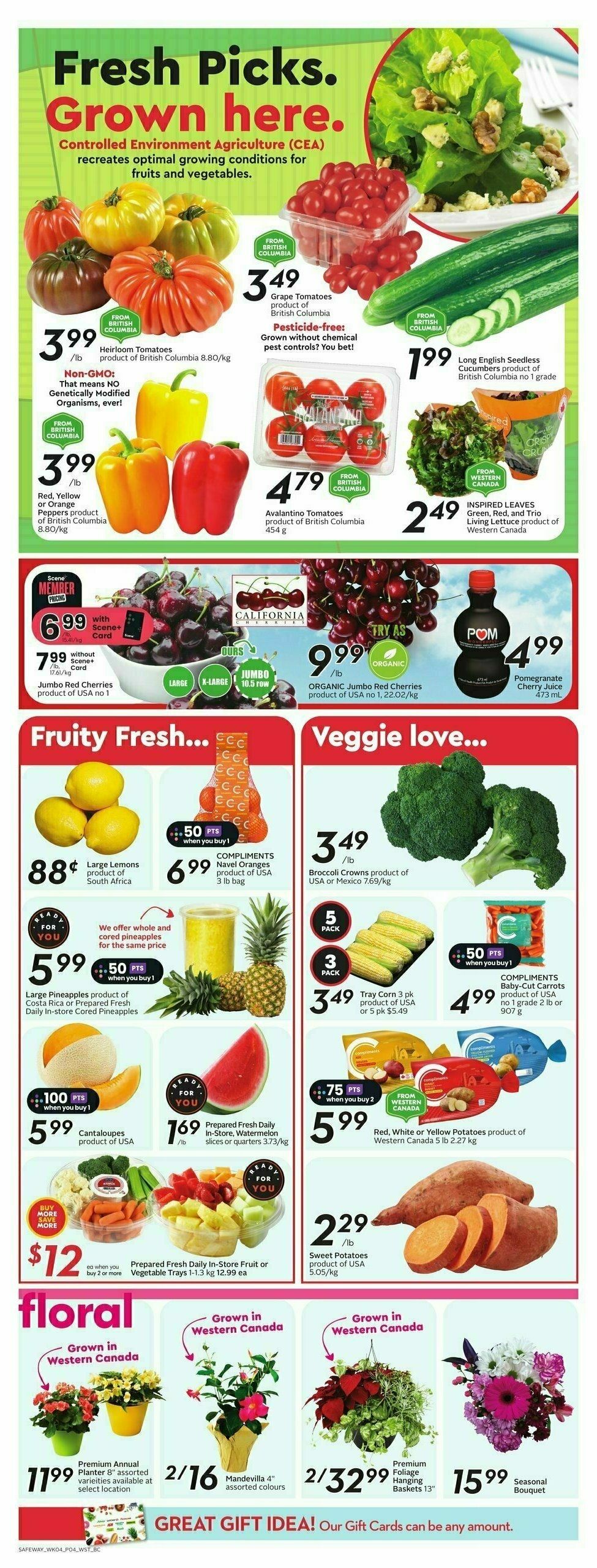 Safeway Flyer from May 23