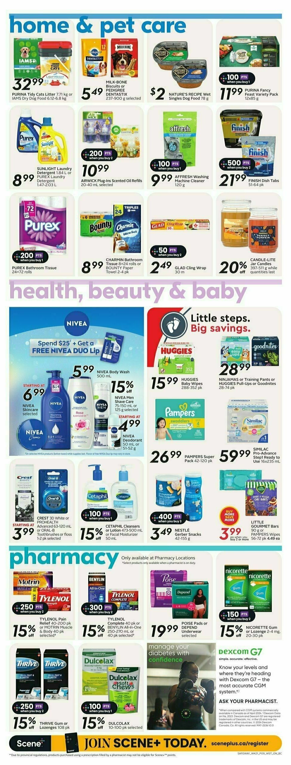 Safeway Flyer from September 19