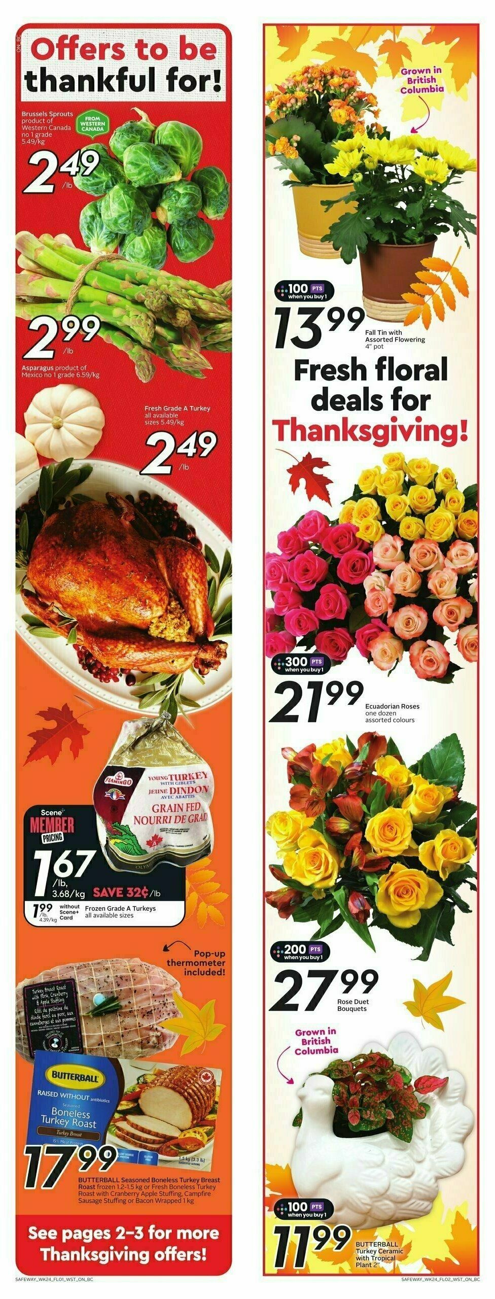 Safeway Flyer from October 10