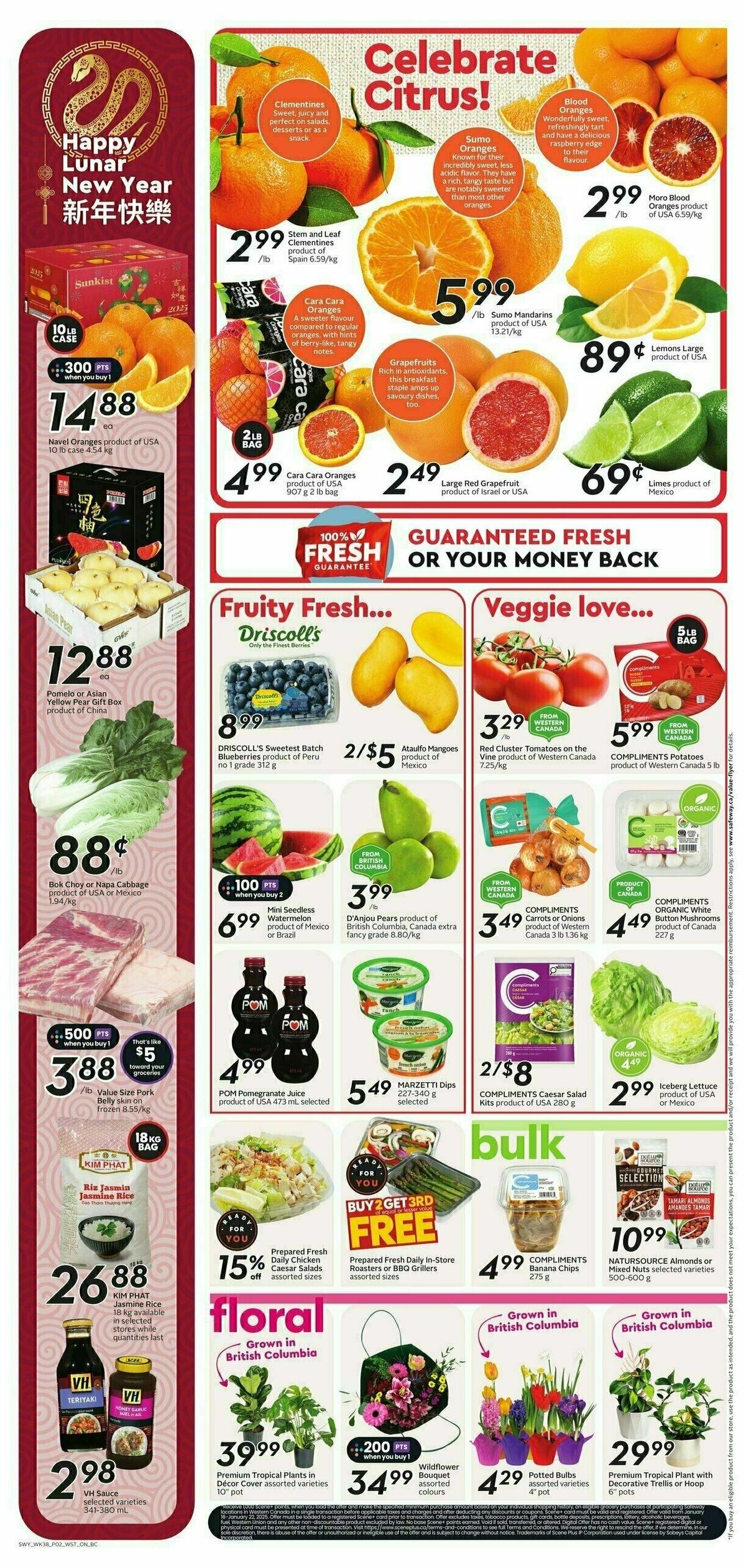 Safeway Flyer from January 16