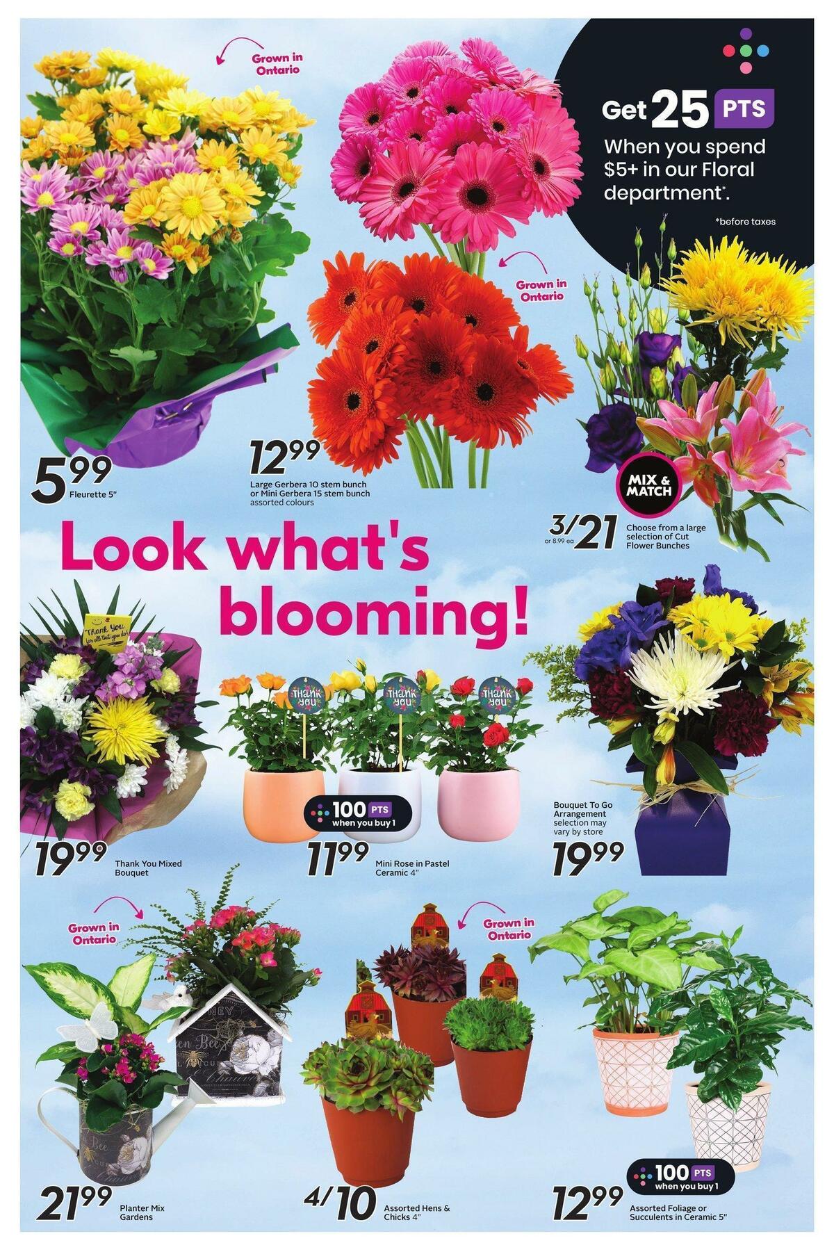 Sobeys Flyer from April 20