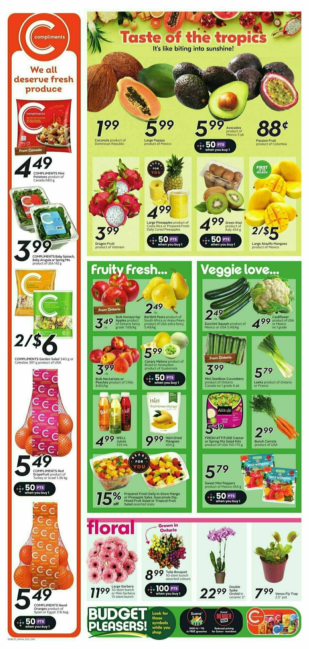 Sobeys Flyer from February 29