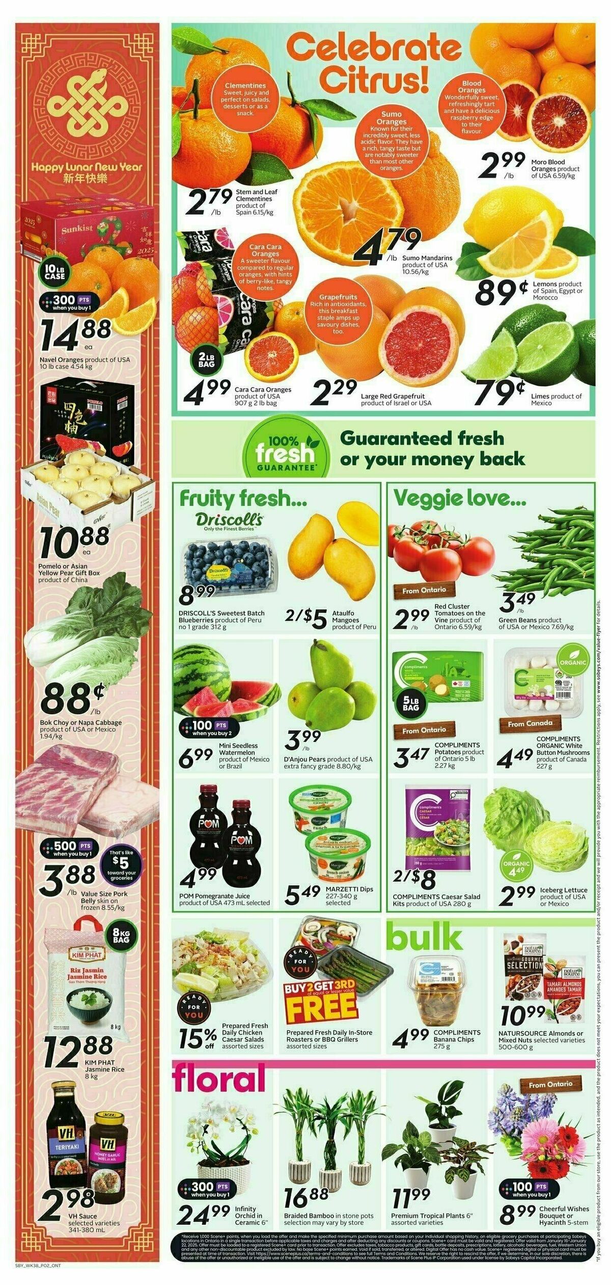 Sobeys Flyer from January 16